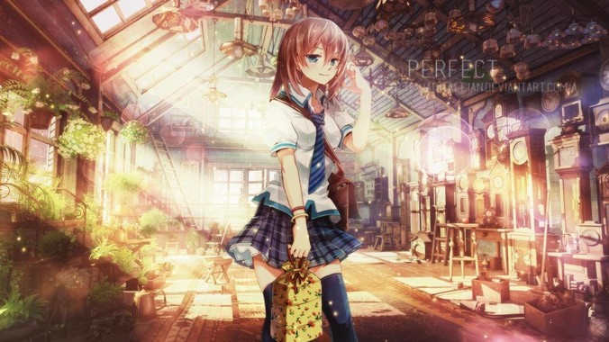 Golang 的 Web 框架该怎么选择？Web 开发又该怎样学？